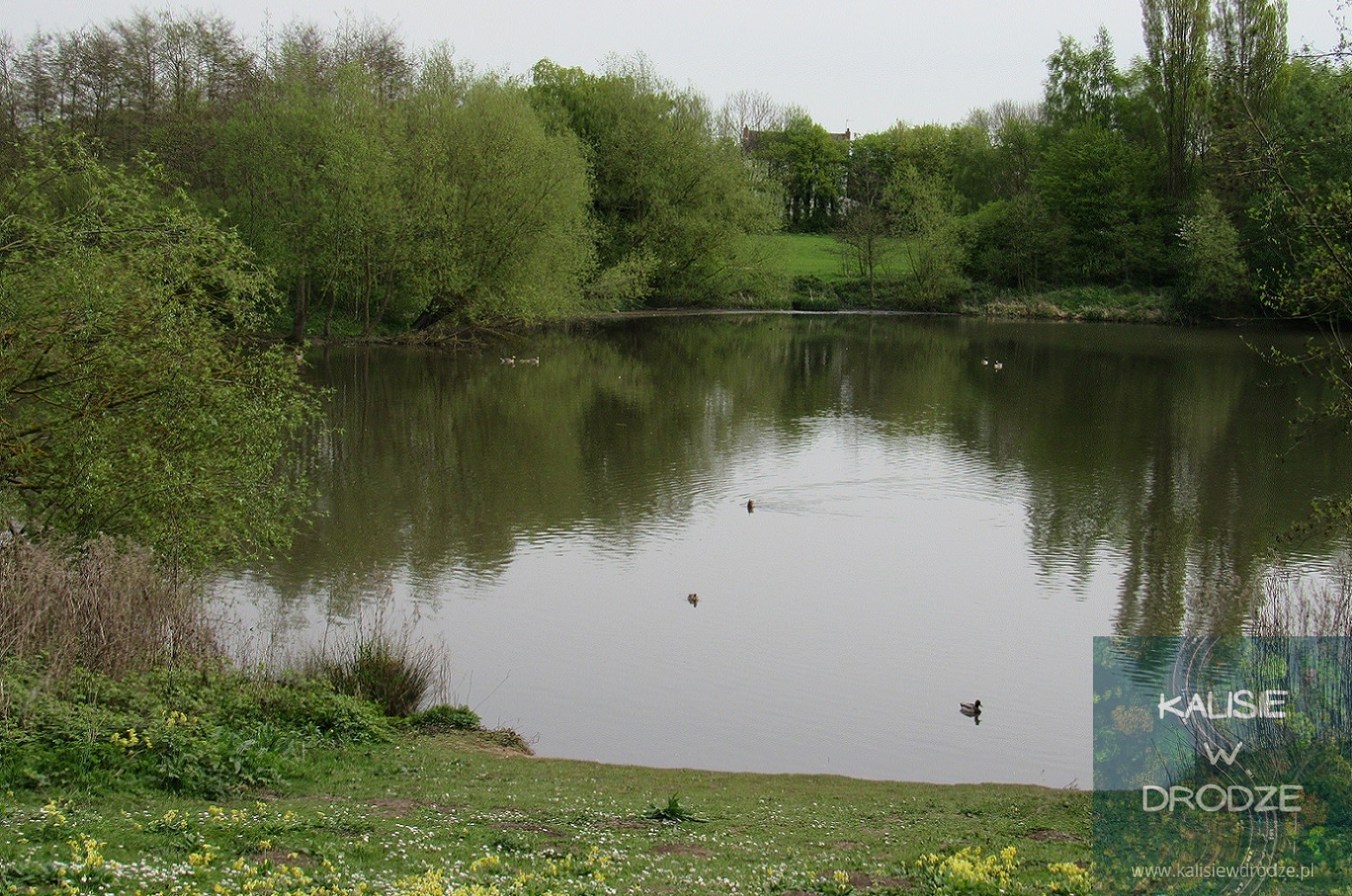 Bestwood Country Park