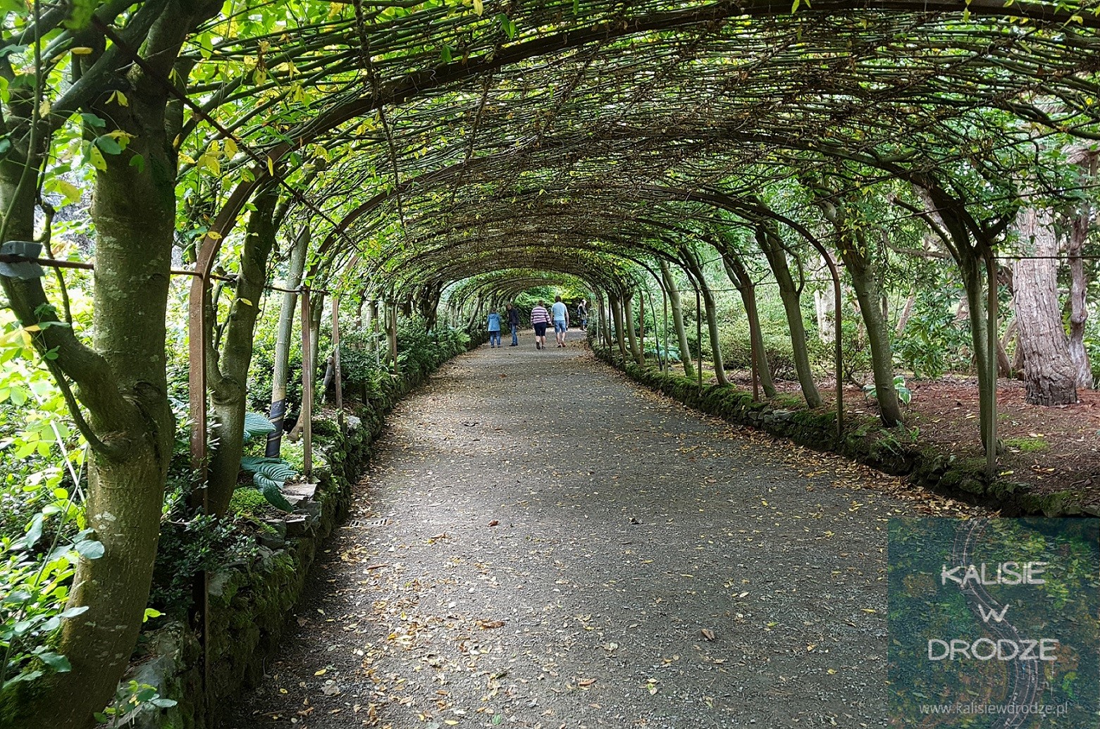 Bodnant Garden