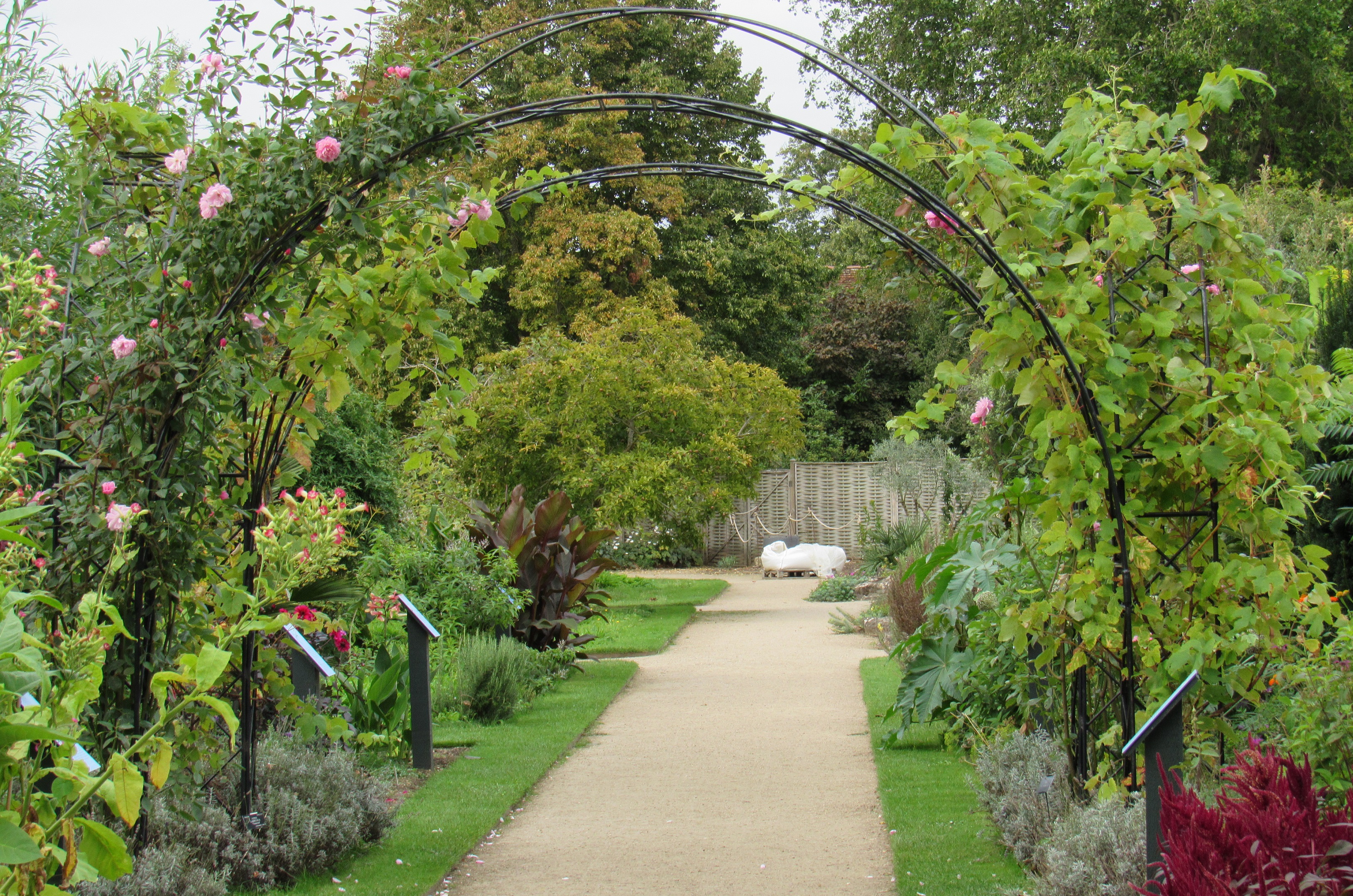 Oxford Botanic Garden