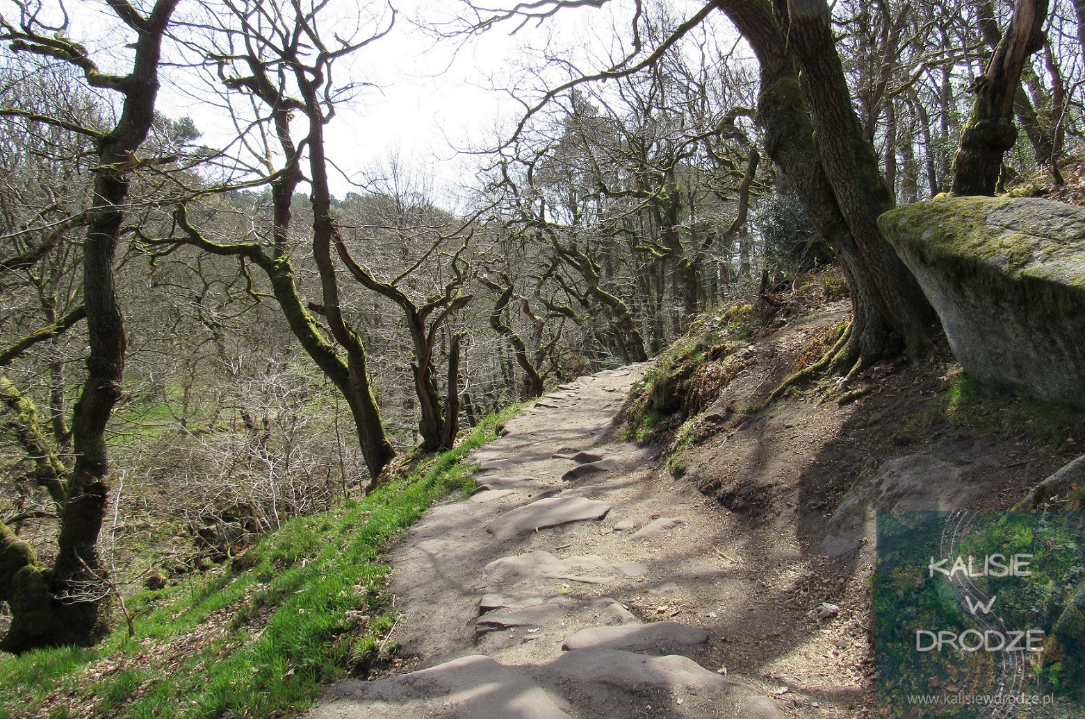 Padley Gorge