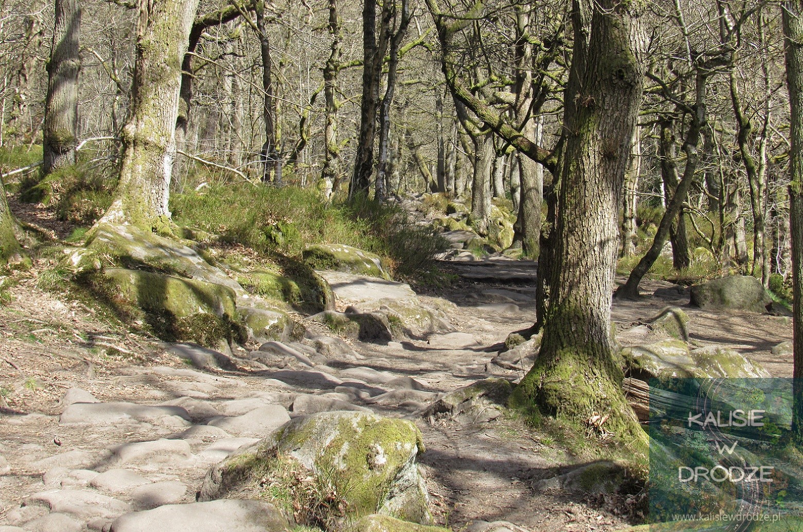 Padley Gorge