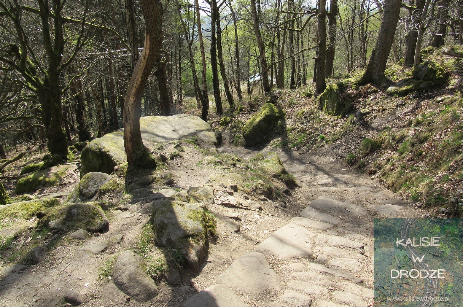 Padley Gorge