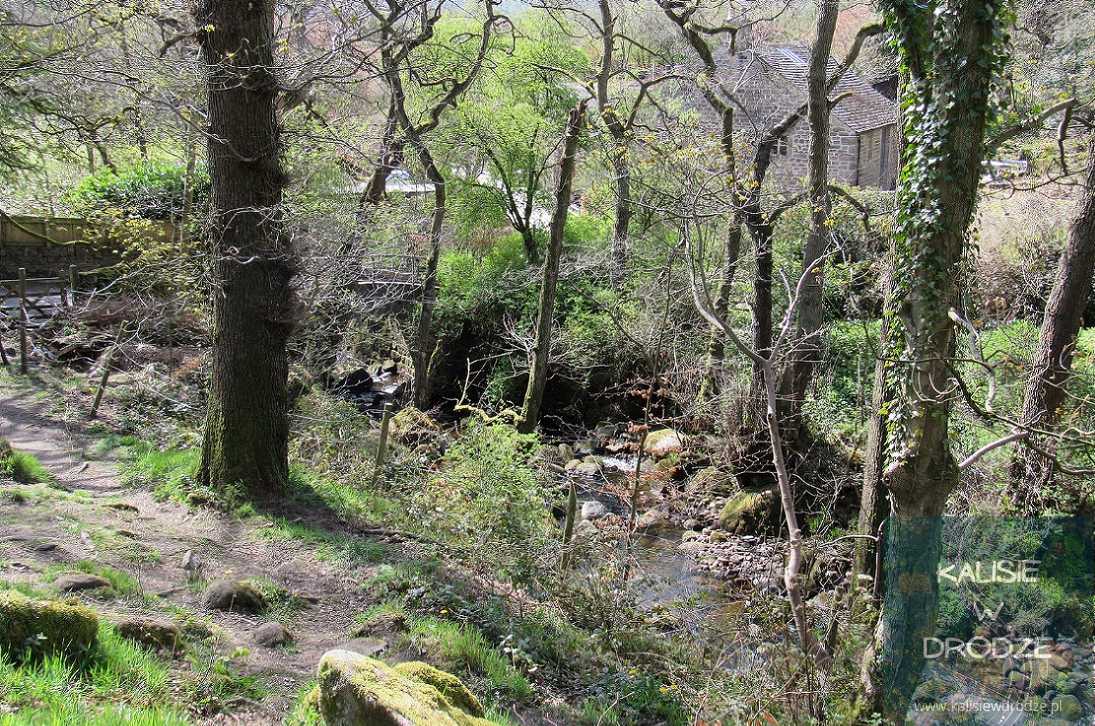 Padley Gorge