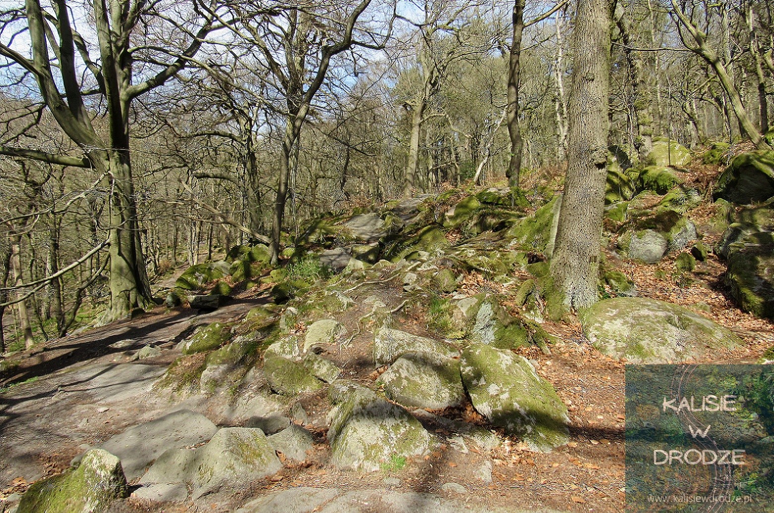 Padley Gorge