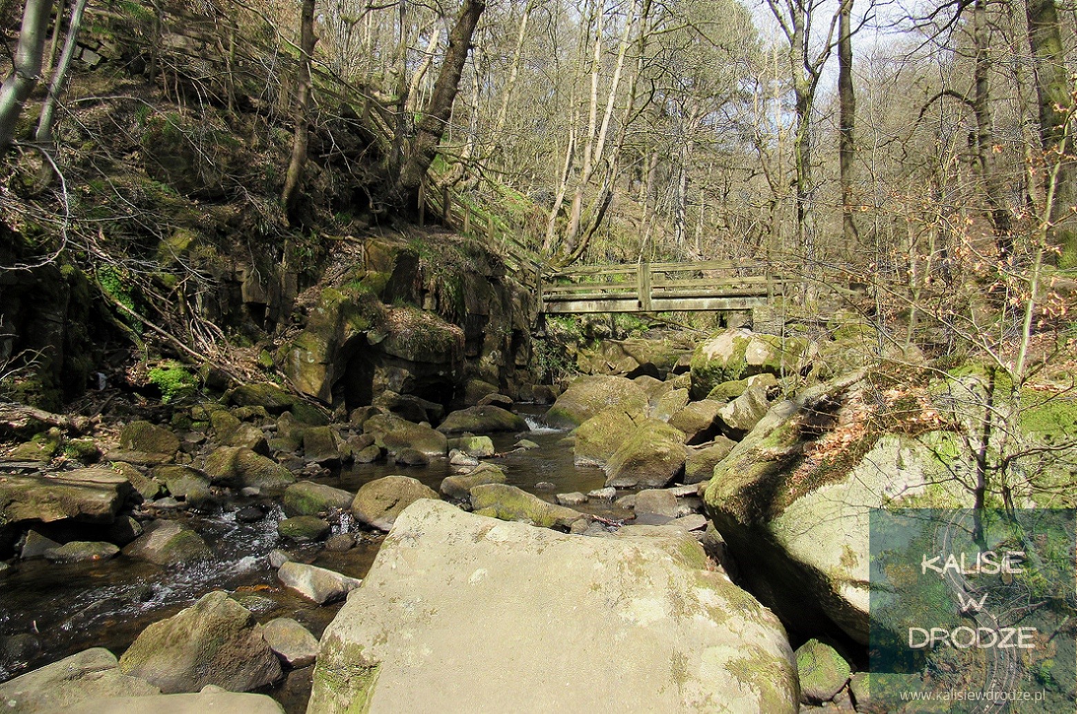 Padley Gorge