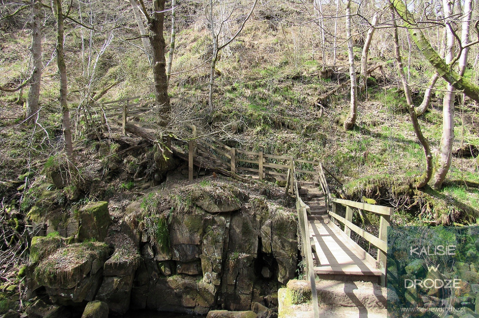 Padley Gorge