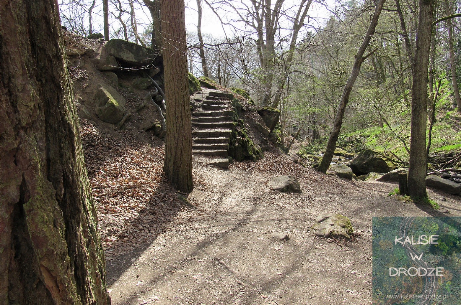 Padley Gorge