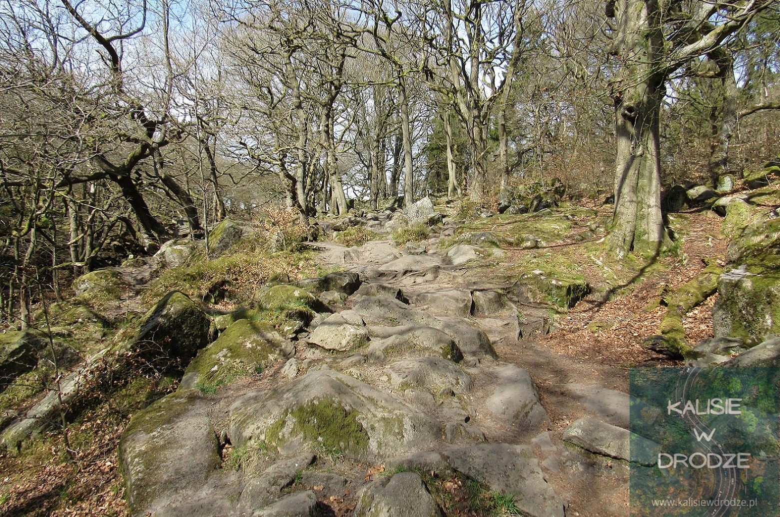 Padley Gorge