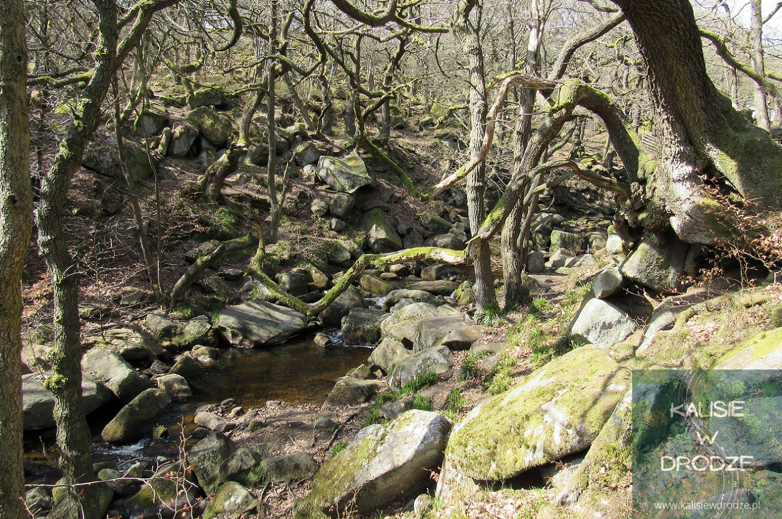 Padley Gorge