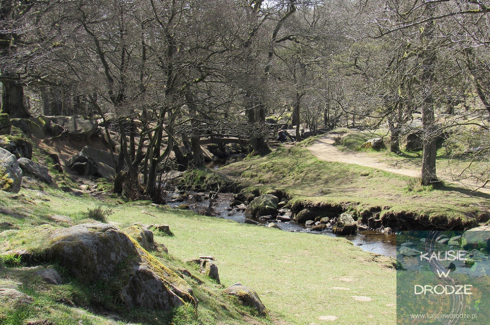 Padley Gorge