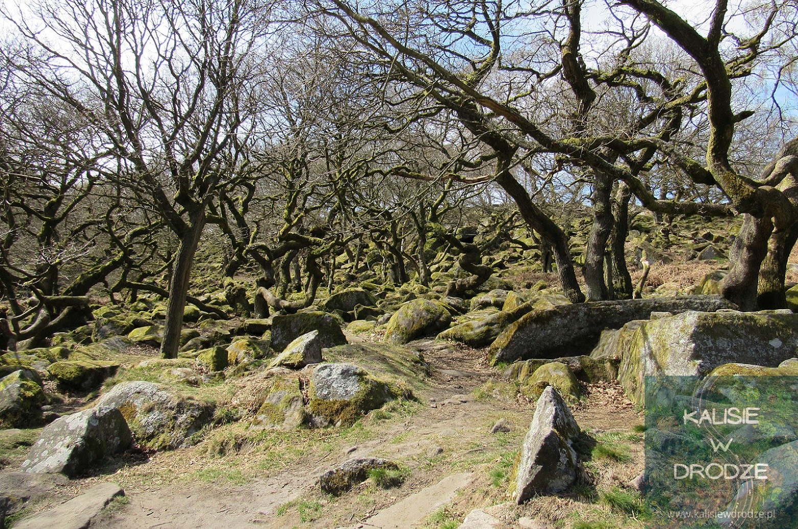 Padley Gorge