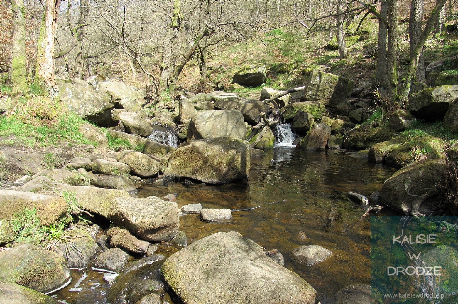 Padley Gorge